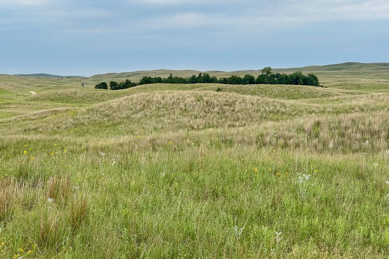 Nebraska Sandhills